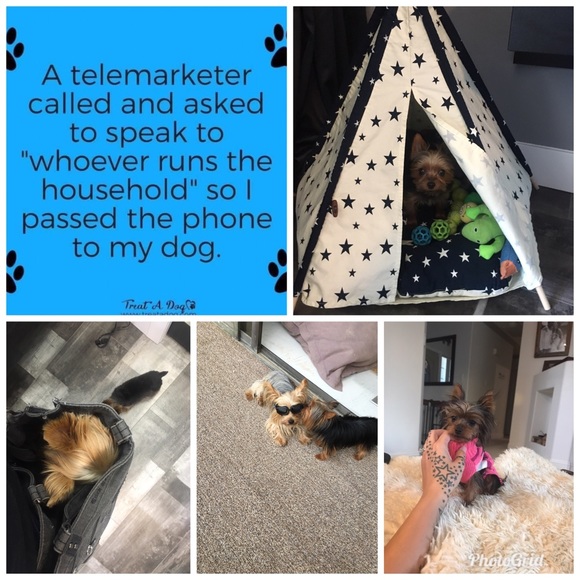 Hello fellow poshest 🛍I’m open to offers & bundle - Picture 4 of 6